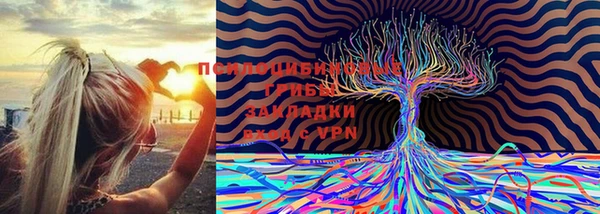 герыч Нягань
