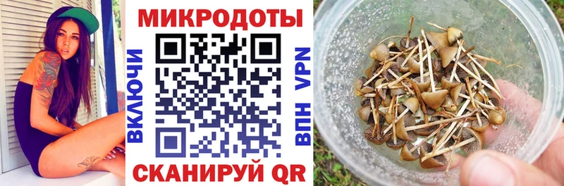 МЕГА как войти как найти Спасск-Рязанский Галлюциногенные грибы Magic Shrooms